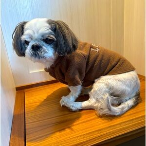 ADORABLE, Martha Stewart doggie sweater sz sm